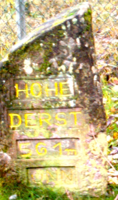 Dörrenbach - Hohe Derst - Gemanshof - Reisdorf - Bad Bergzabern