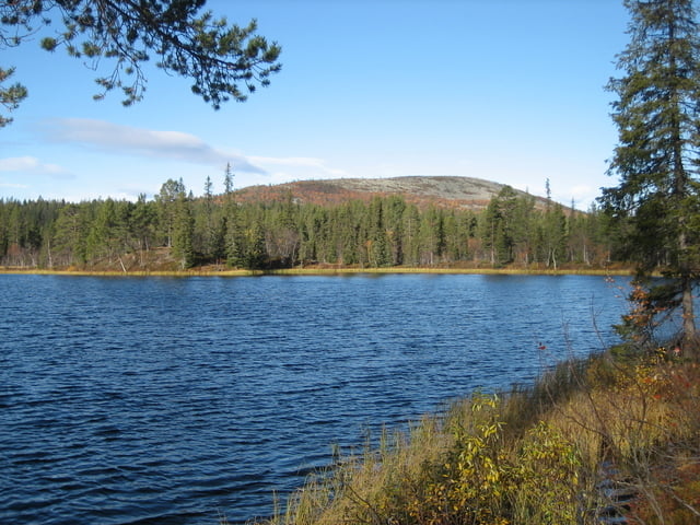 Patjanen Runde