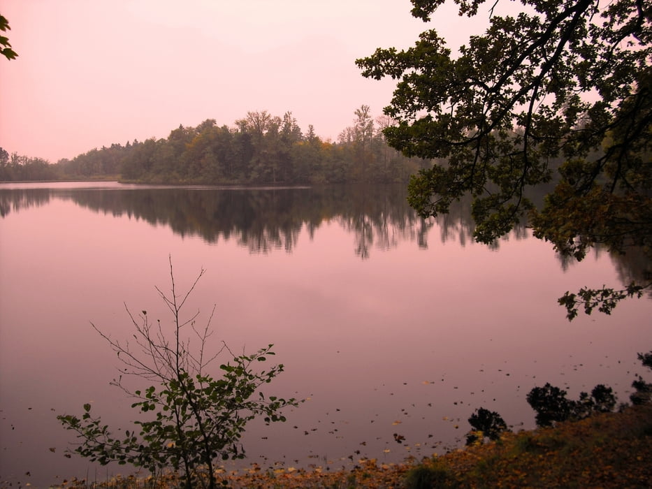 Oberschwaben Blitzenreuter Seenplatte
