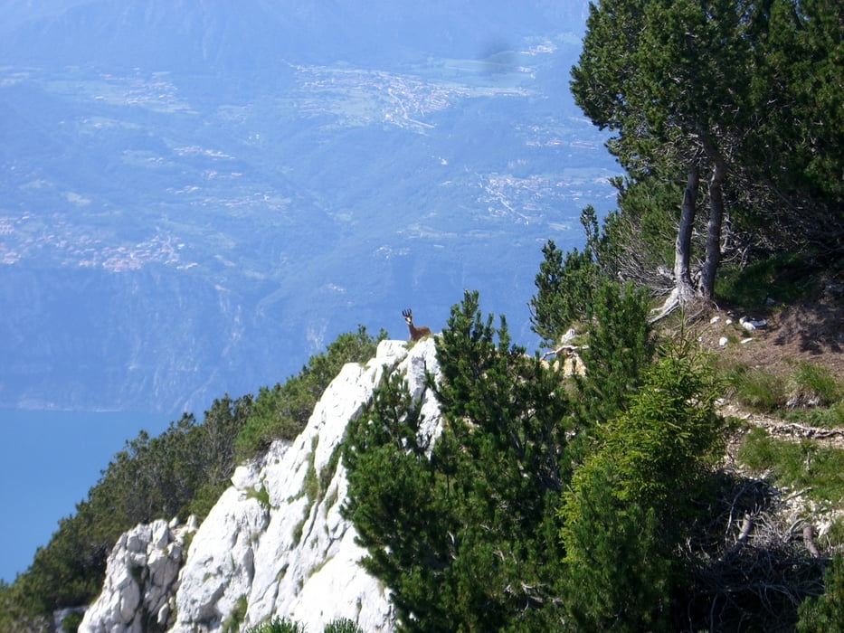 Auf die Cima Valdritta und zur Seilbahn Mittelstation
