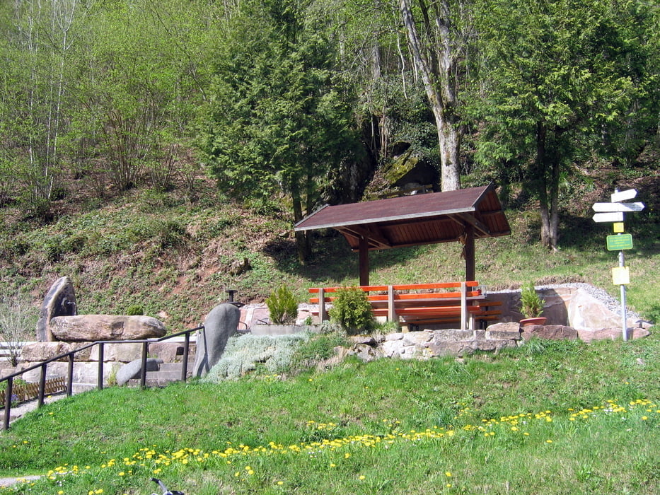 Baiersbronn Bärenpark Glaswaldsee und zurück