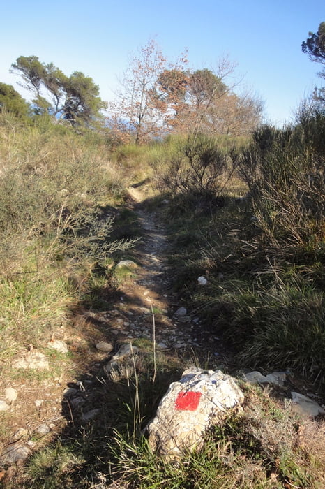 "Wanderung" mit Mountainbike nach Rollo