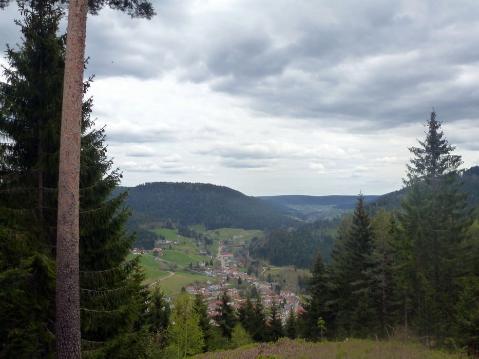 Sommerberg Wolkenhütte Roter Schliff Binsenhütte und zurück