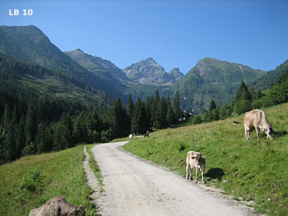 Kaibling-Runde