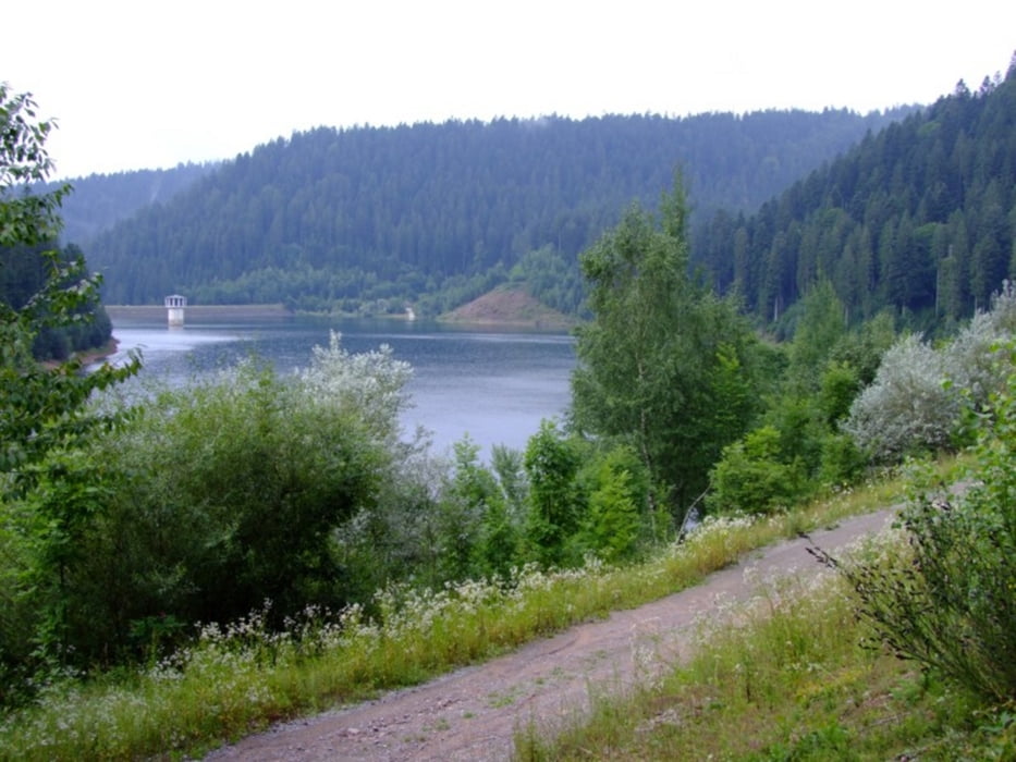 Stausee "Kleine Kinzig" Rundweg