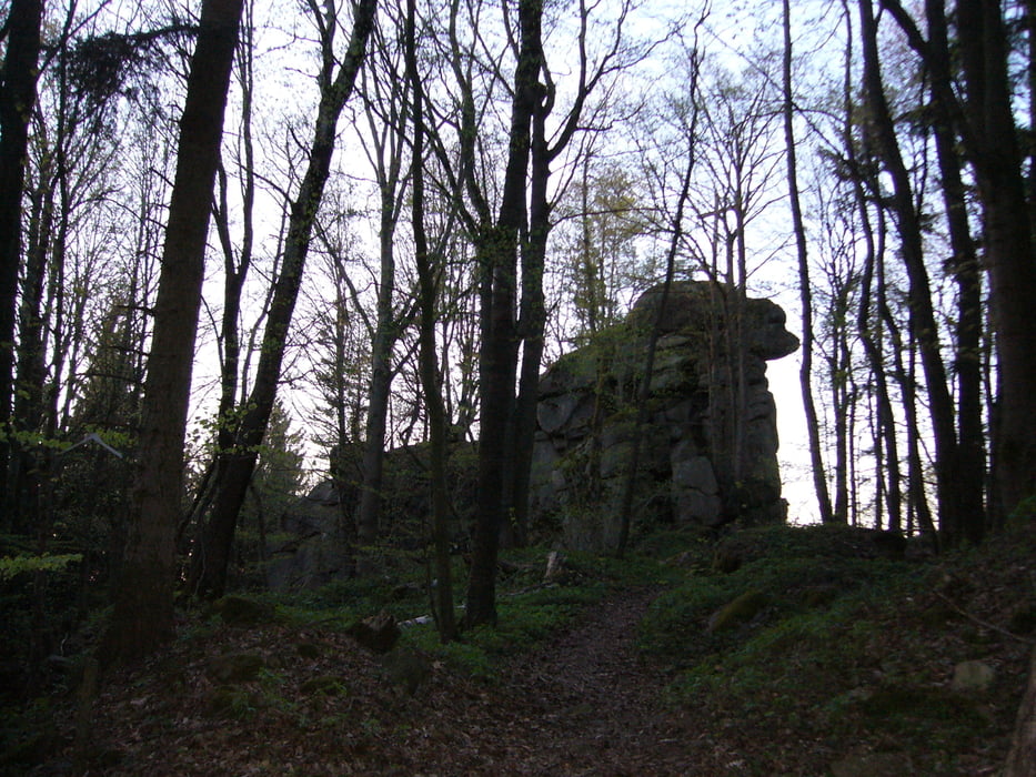 Sengersberg-Falkenstein