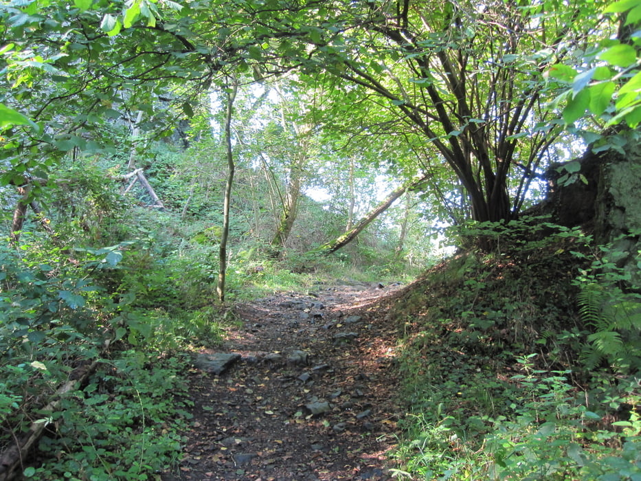 110910 Siebengebirge - Heisterbach - Petersberg