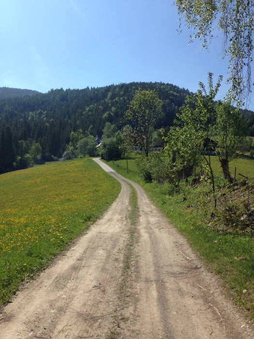 Rundtour Neuwirt-Zammelsberg-Goggausee-Neuwirt