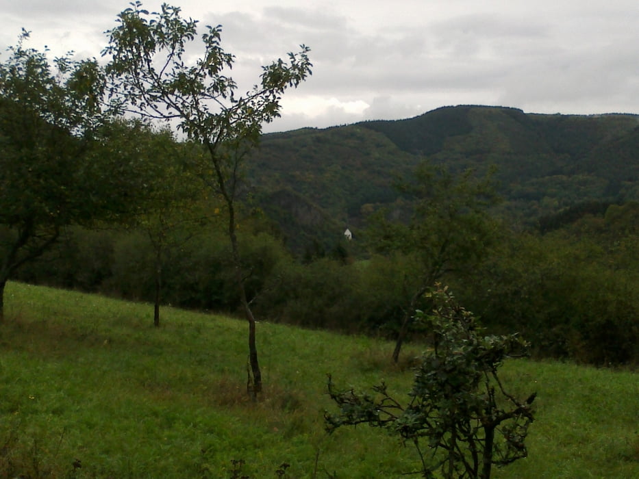 Von Lind nach Ahrbrück und zurück