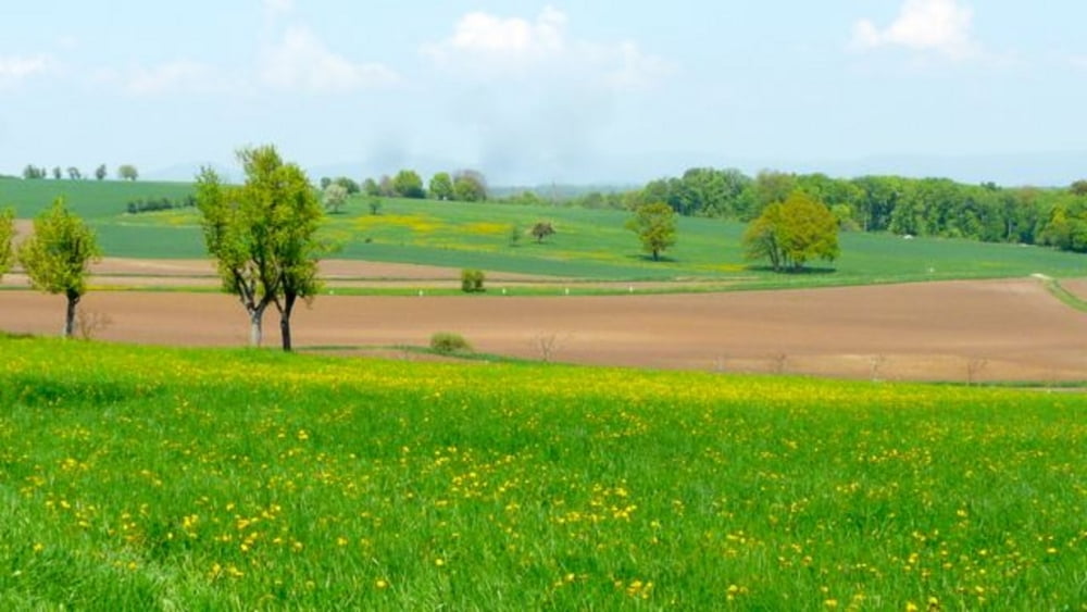 Hageneau - Bouxviller