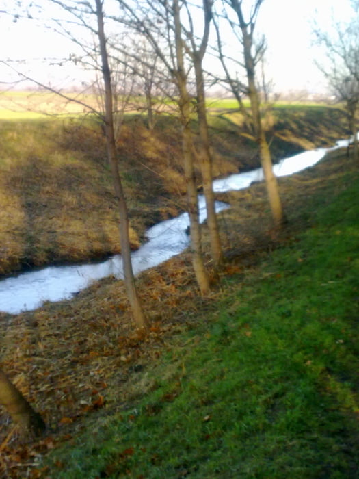 Rauchenwarth