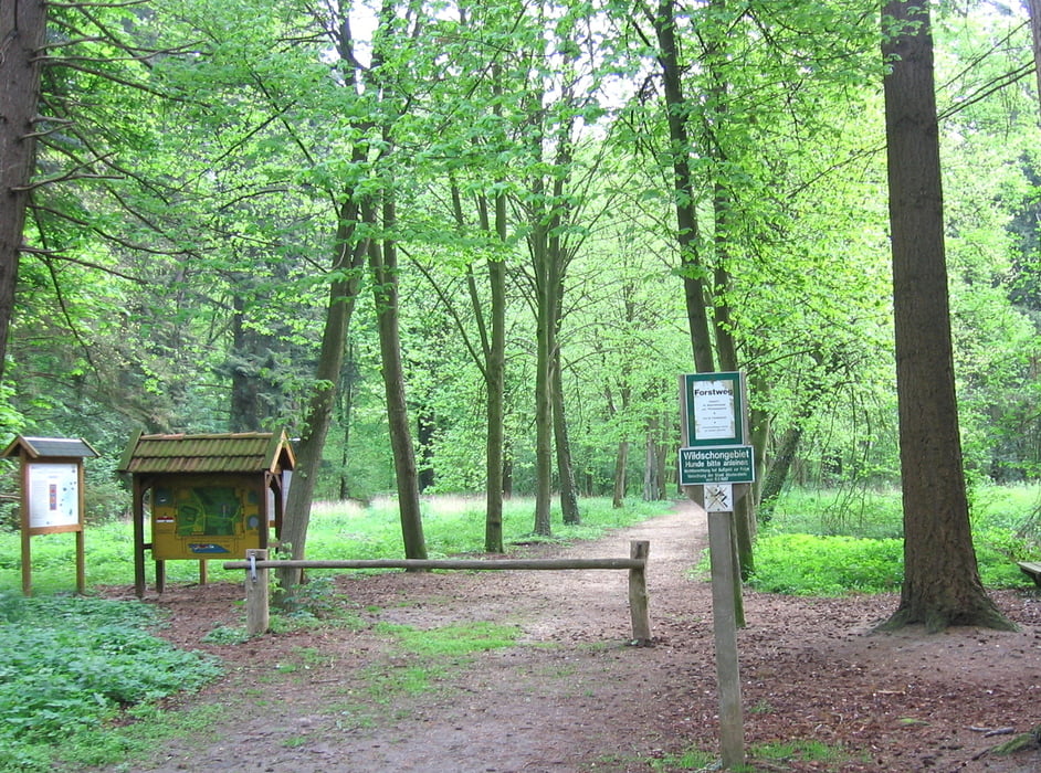 Wittenheimerforst