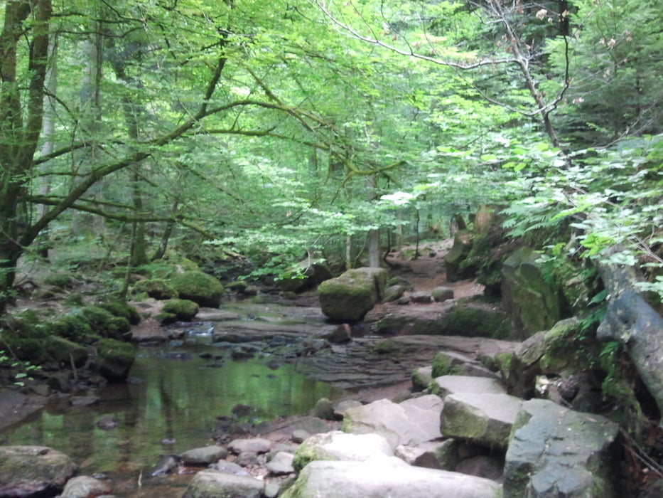 Viele Steine gibt es