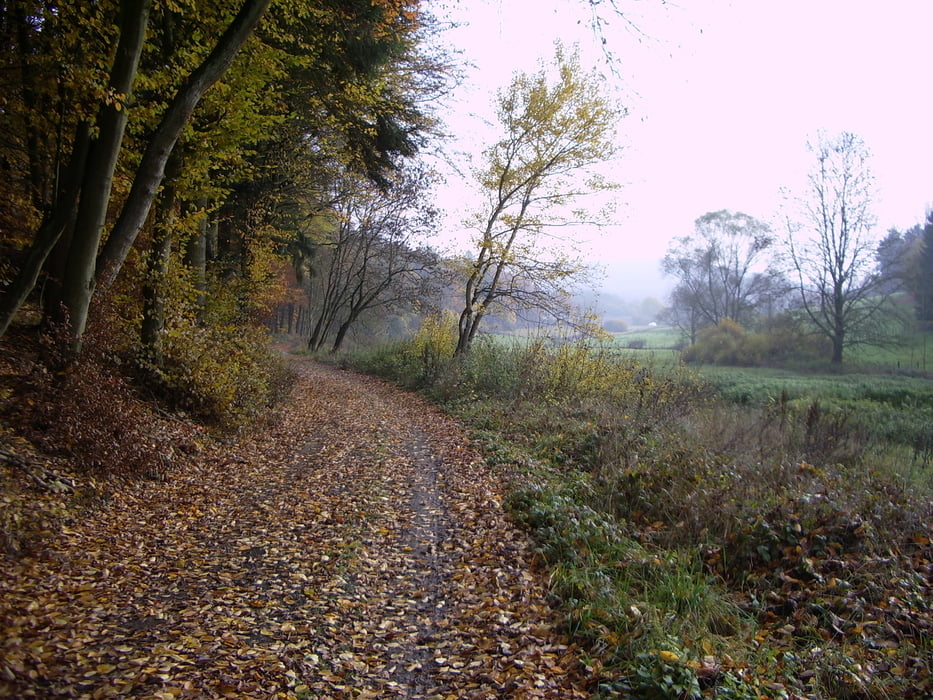 Rundweg ab Erda, Dünsbergsgrund, Helfholz