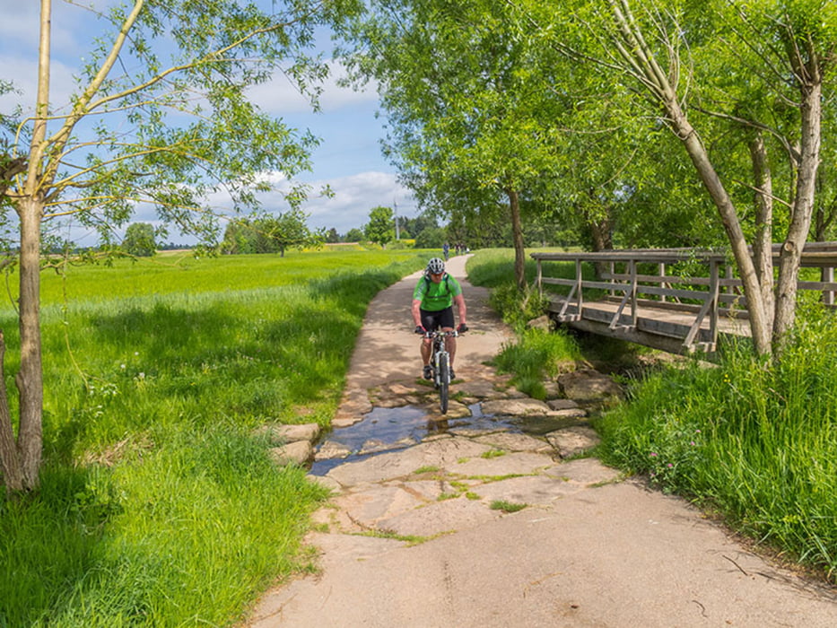 Mit Waldi nach Dobel