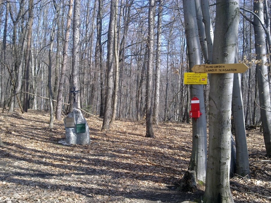 Rund um den Lainzer Tiergarten