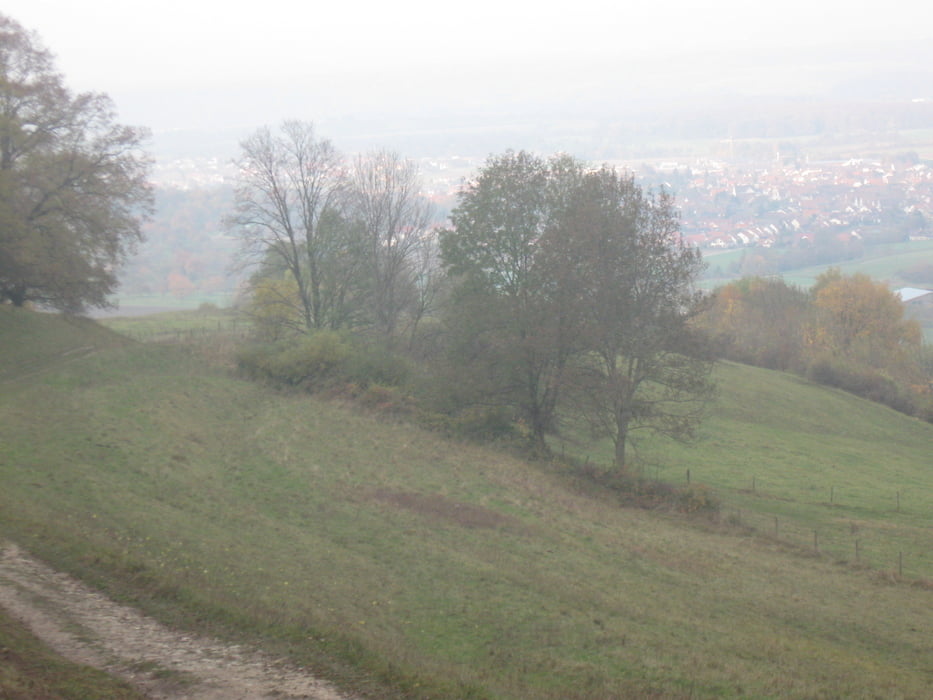 Zell - Teck - Hohenneuffen - Sattelbogen - Zell