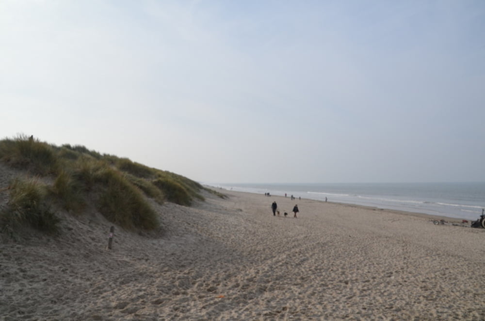 Dune Marchand