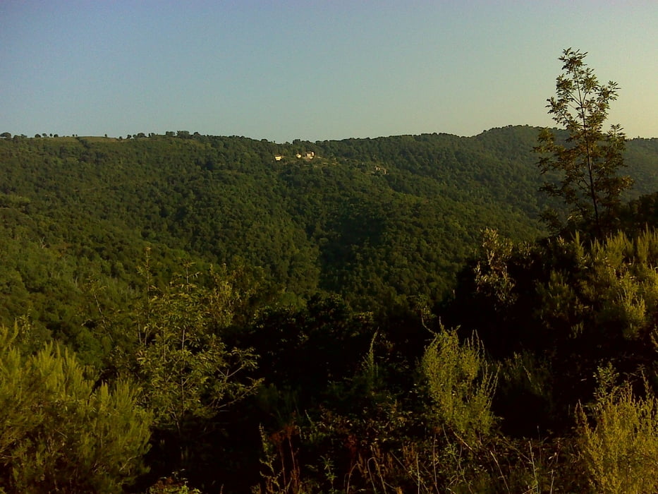 Rundtour durch Prunelli di Fiomorbo 