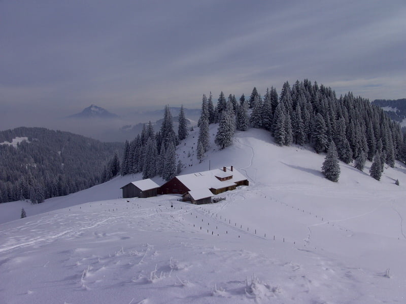 Bleicher Horn - Dreifahnenkopf