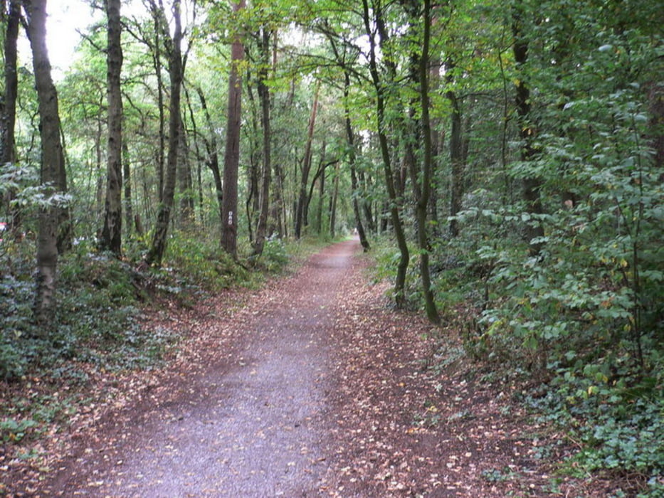 Hövelhof-Avenwedde-Verl-Hövelhof