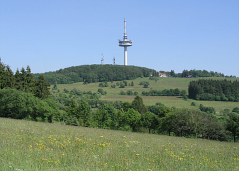 Hoherodskopf