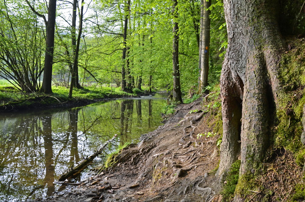 Wandern im Pfengstbachtal