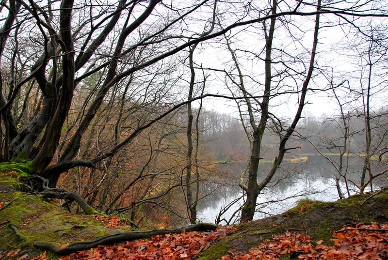 Rundweg von Rottbitze ins Siebengebirge