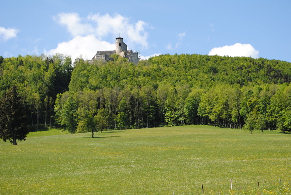 Araburg 2016 (21.05.2016)
