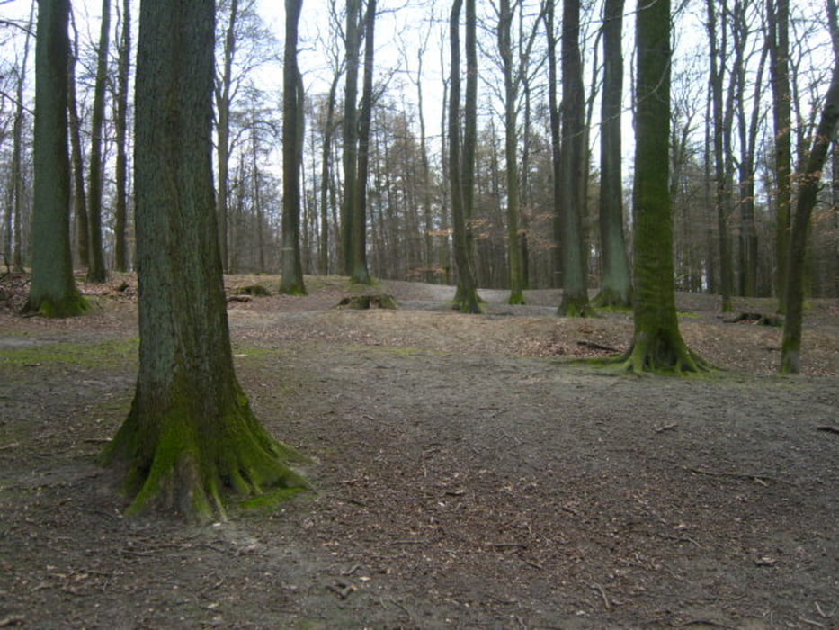 Das malerische Nettetal (bei Osnabrück )
