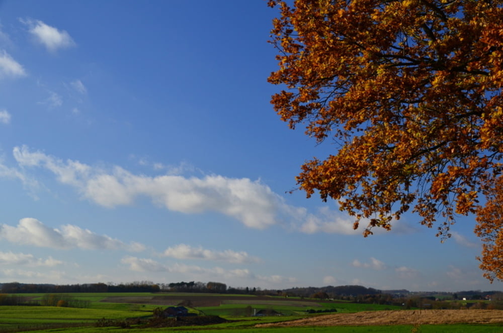 Wandelen rond Bertem