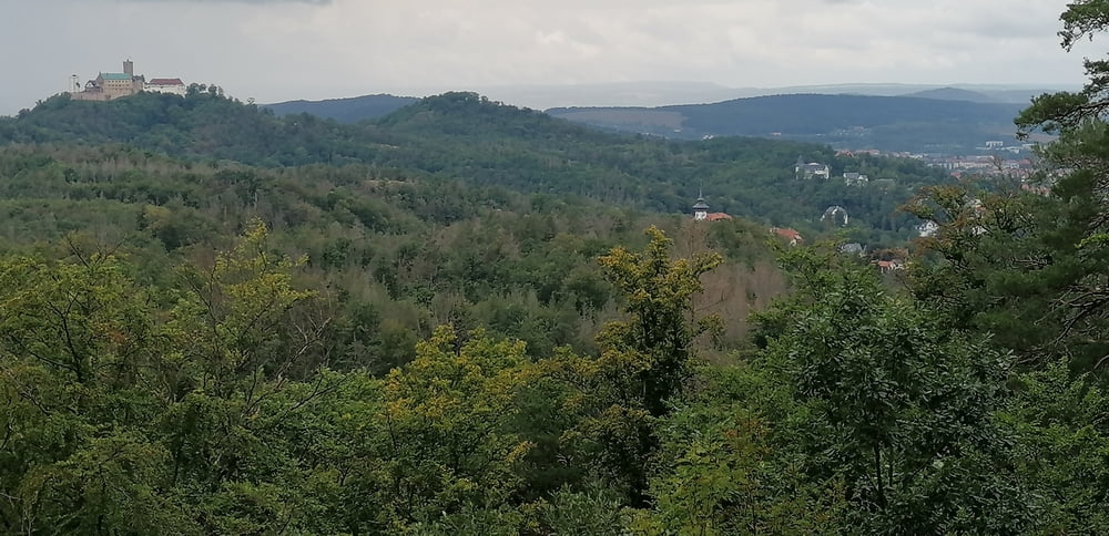 417. Von Mosbach zur Drachenschlucht über Herzogseiche & Marienblick