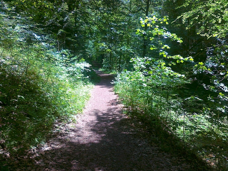 Tommi´s Wachwerdrunde