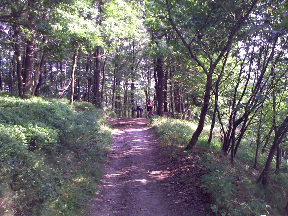Kohlfurth-Müngsten