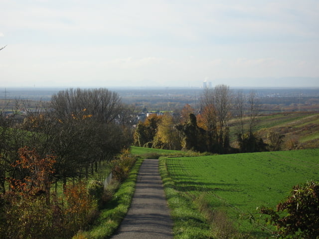 Heidelberg -Hoffenheim - Hilsbach