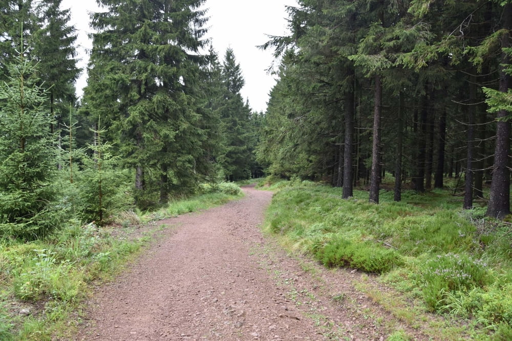 Thüringer Wald: Oberhof-spizer Berg-Oberhof