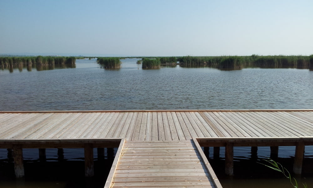 Um den Neusiedlersee