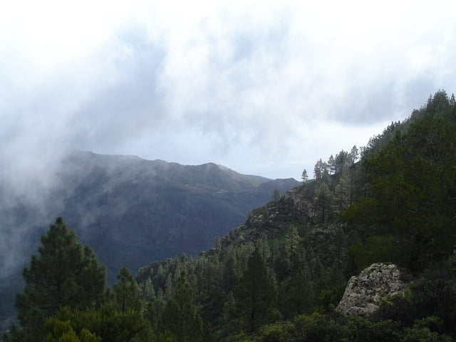 Garajonay-Las Paredes