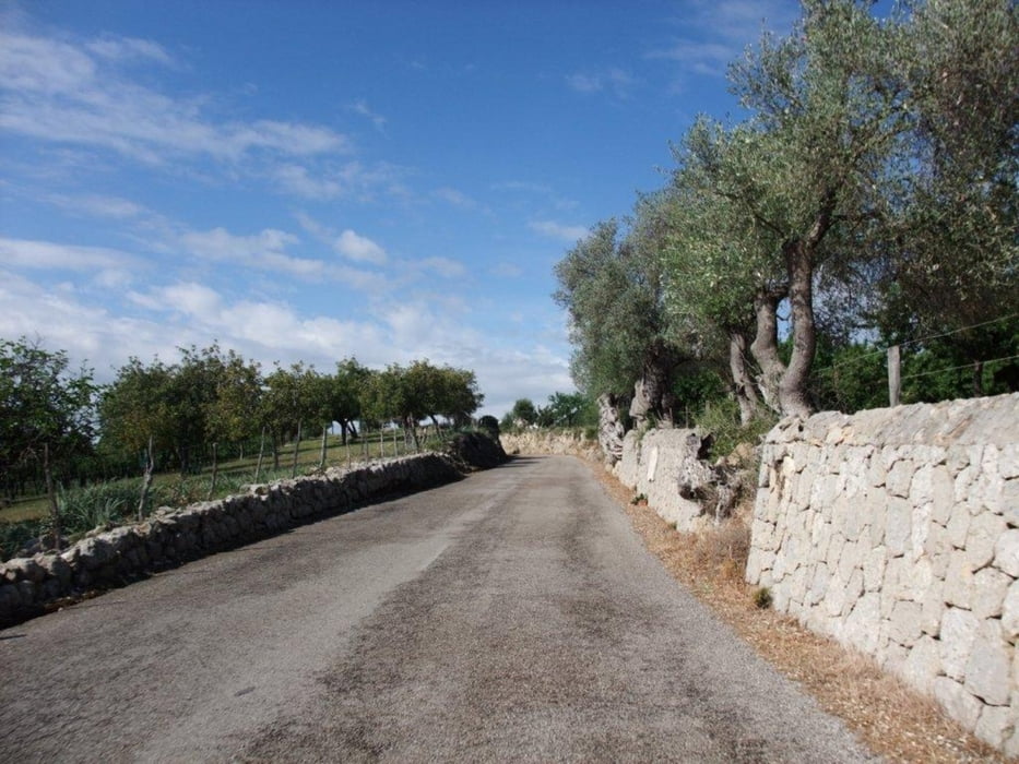 Mallorca Tag 2  Petra - Runde