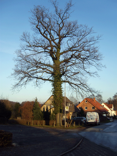 Herford A4 - Stedefreund