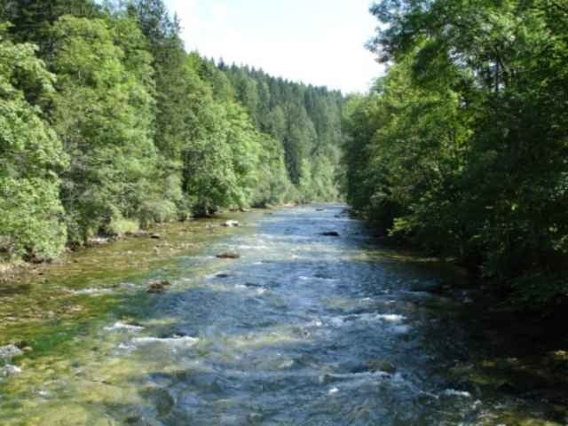 Durch den Neuburger Wald