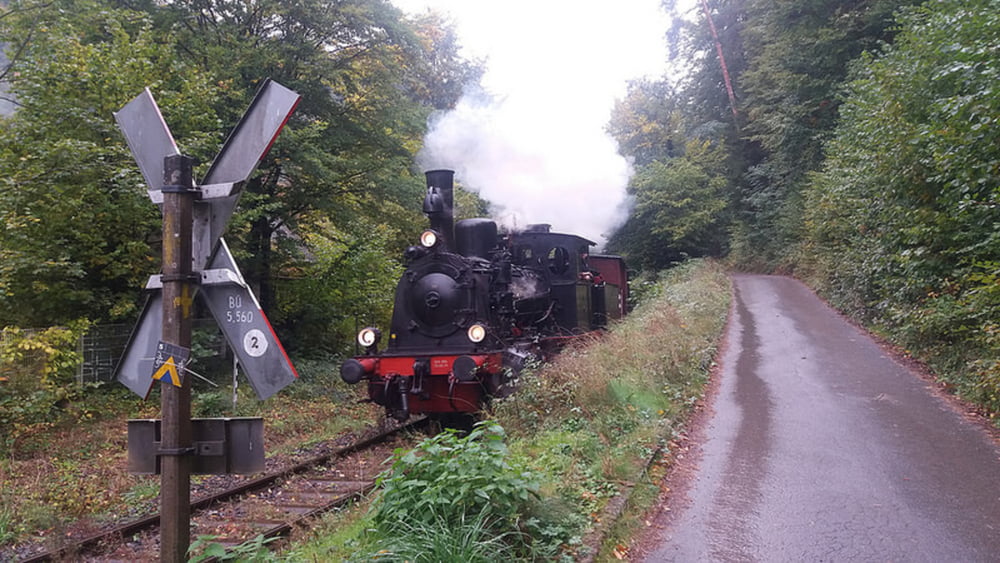 Im Helmbachtal - Hornesselwiese