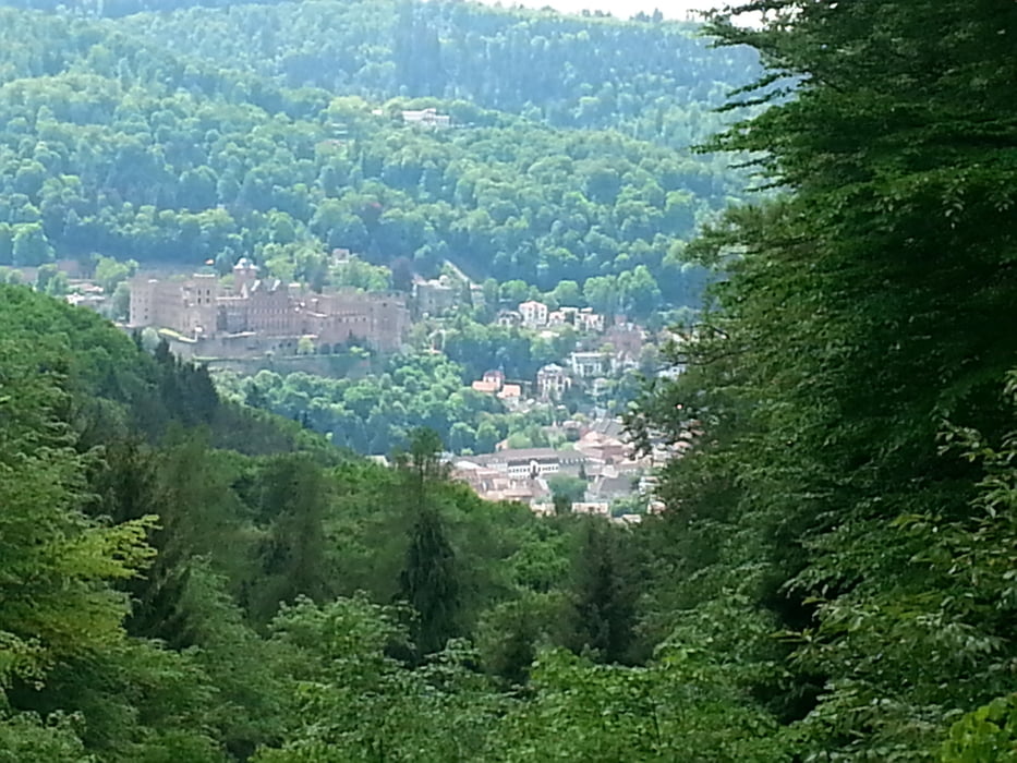 Heidelberg Neustift Weißerstein Downhill 19km