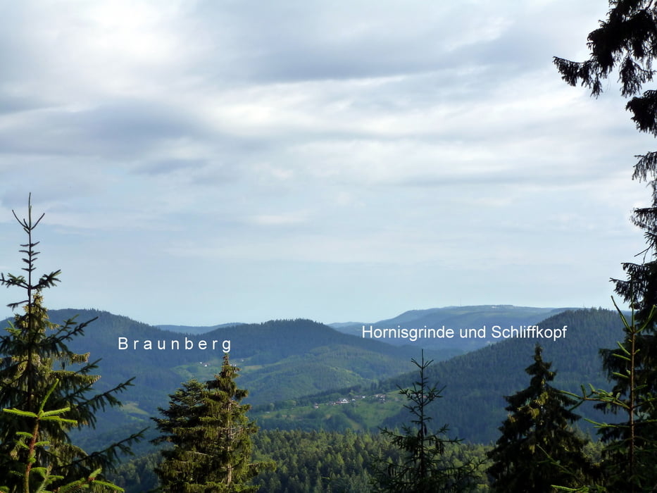 Baiersbronn Alexanderschanze Moosturm Hummelswälderhof Oberkirch 
