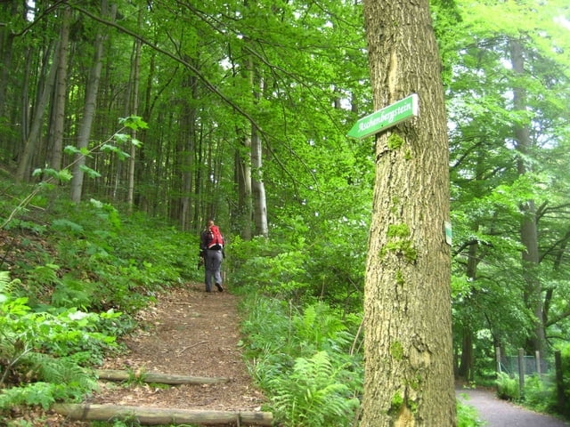 Tabarz - Rennsteig - Felsental