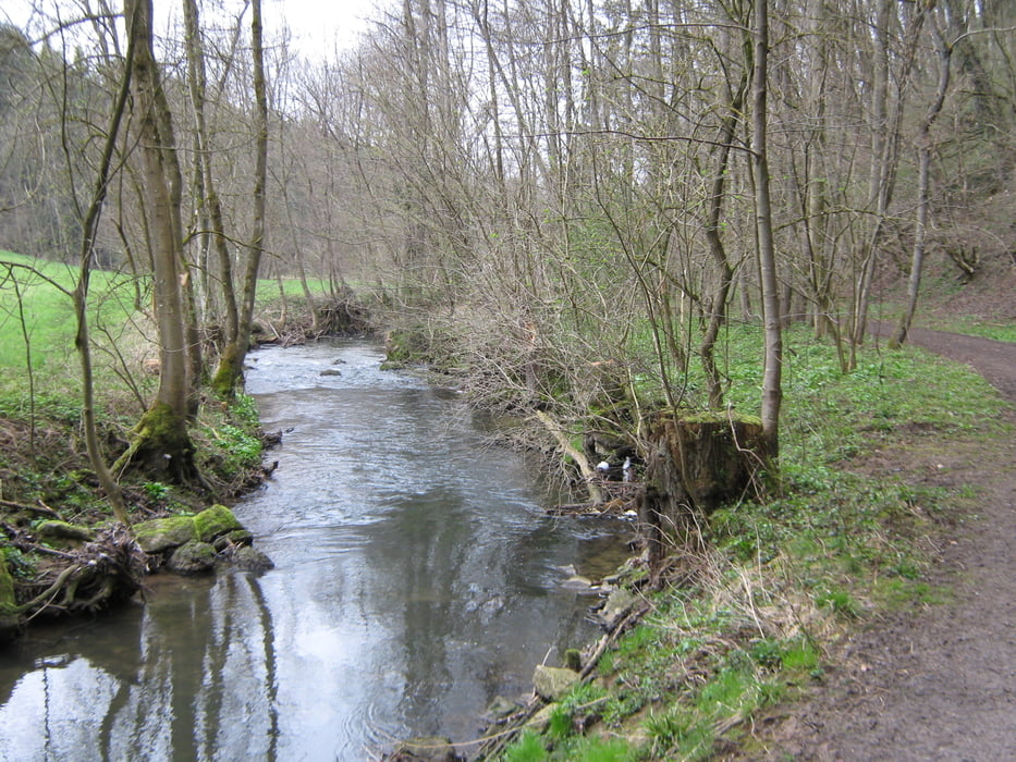 Buchenbachtal