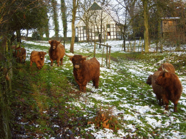 Stiftsweg - Rund um Herford