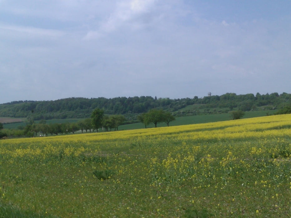 Durch die Täler rund um die Wöllmisse