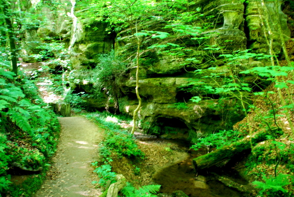 Der Mullerthal Trail