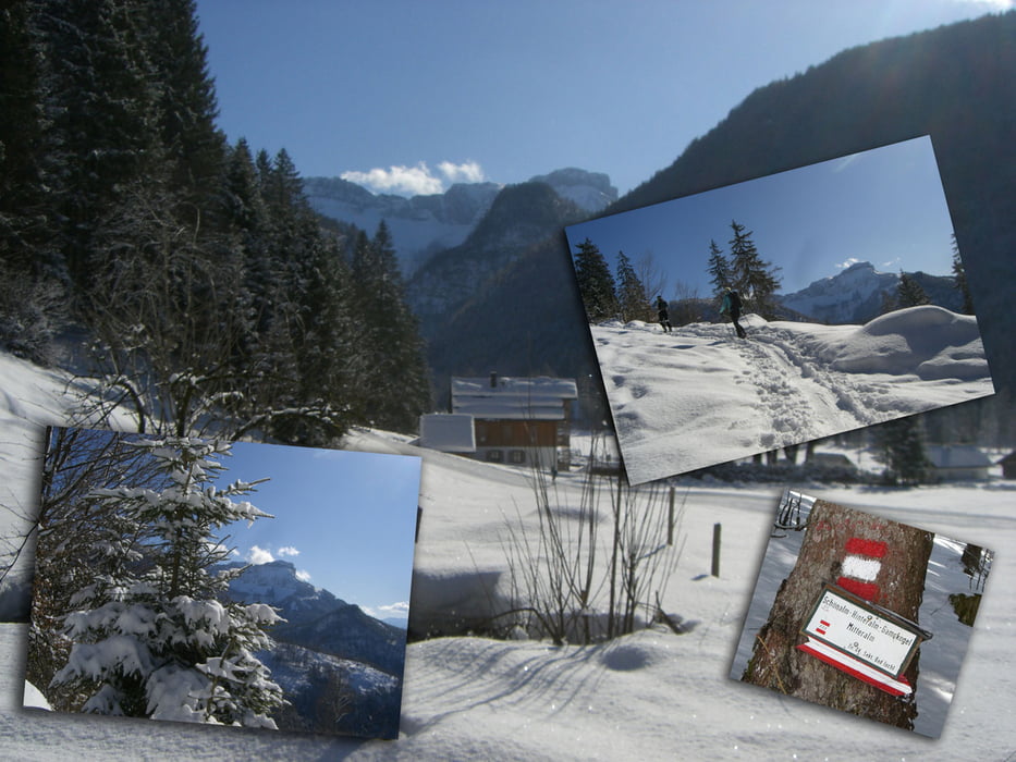 Schitour Gamskogel 1628 m + Predigkogel 1691 m